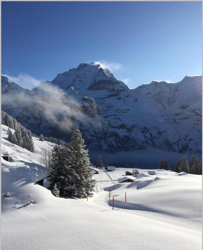 Sonnenberg Dormitories Mürren Esterno foto