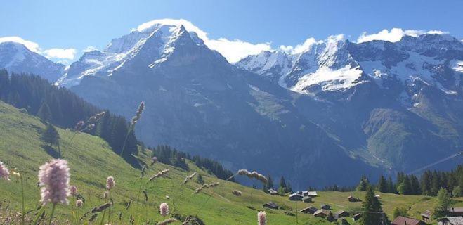 Sonnenberg Dormitories Mürren Esterno foto