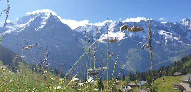 Sonnenberg Dormitories Mürren Esterno foto